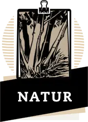 Natur zeichnen mainz Rhein main rheinhessen